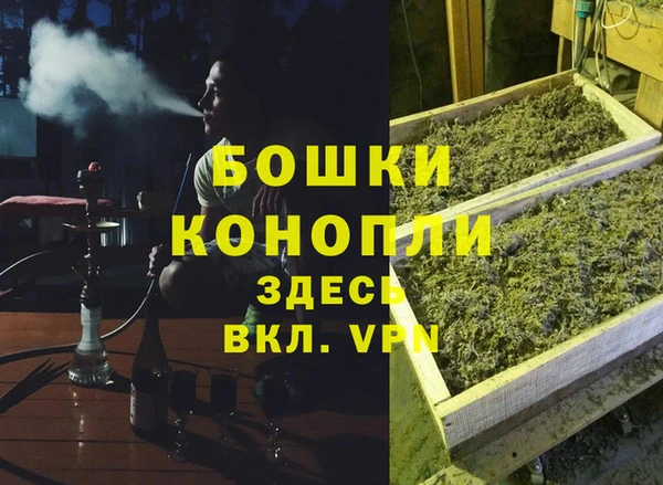 PSILOCYBIN Арсеньев