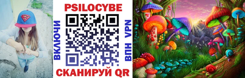 цена   Нижний Тагил  Псилоцибиновые грибы Psilocybine cubensis 
